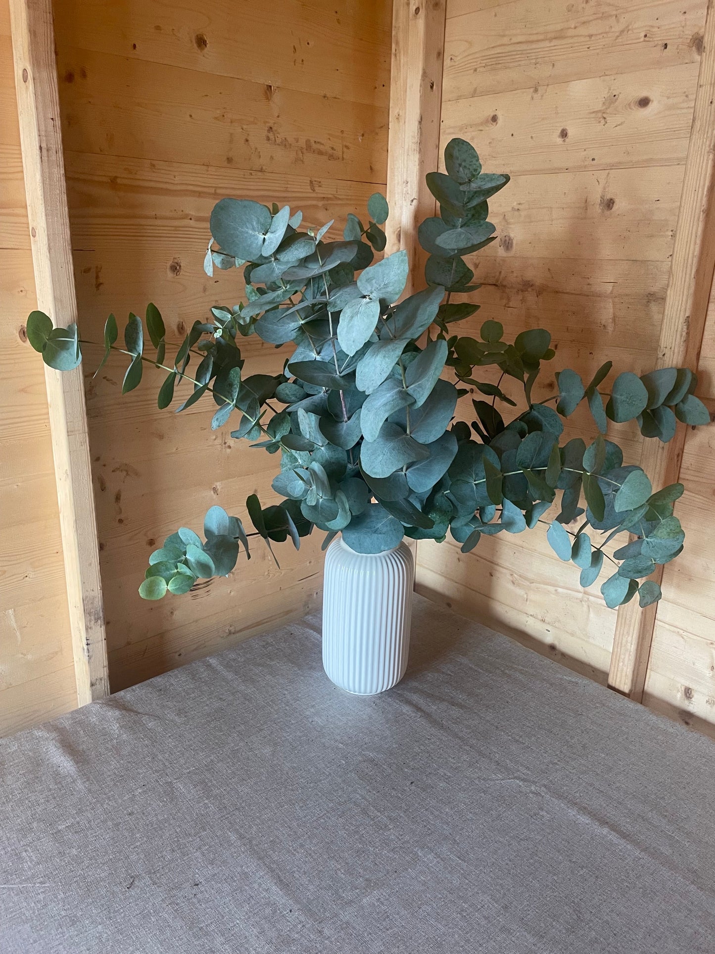 PRE-ORDER Fresh Eucalyptus