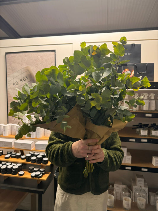 PRE-ORDER Fresh Eucalyptus